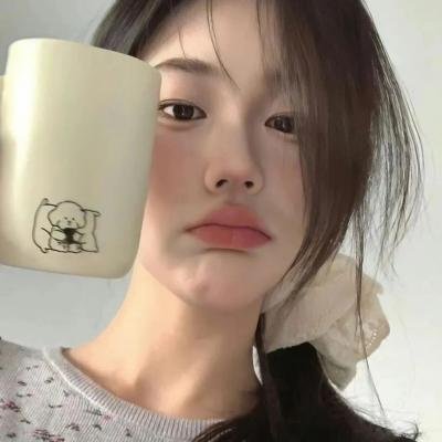 双生赤狐